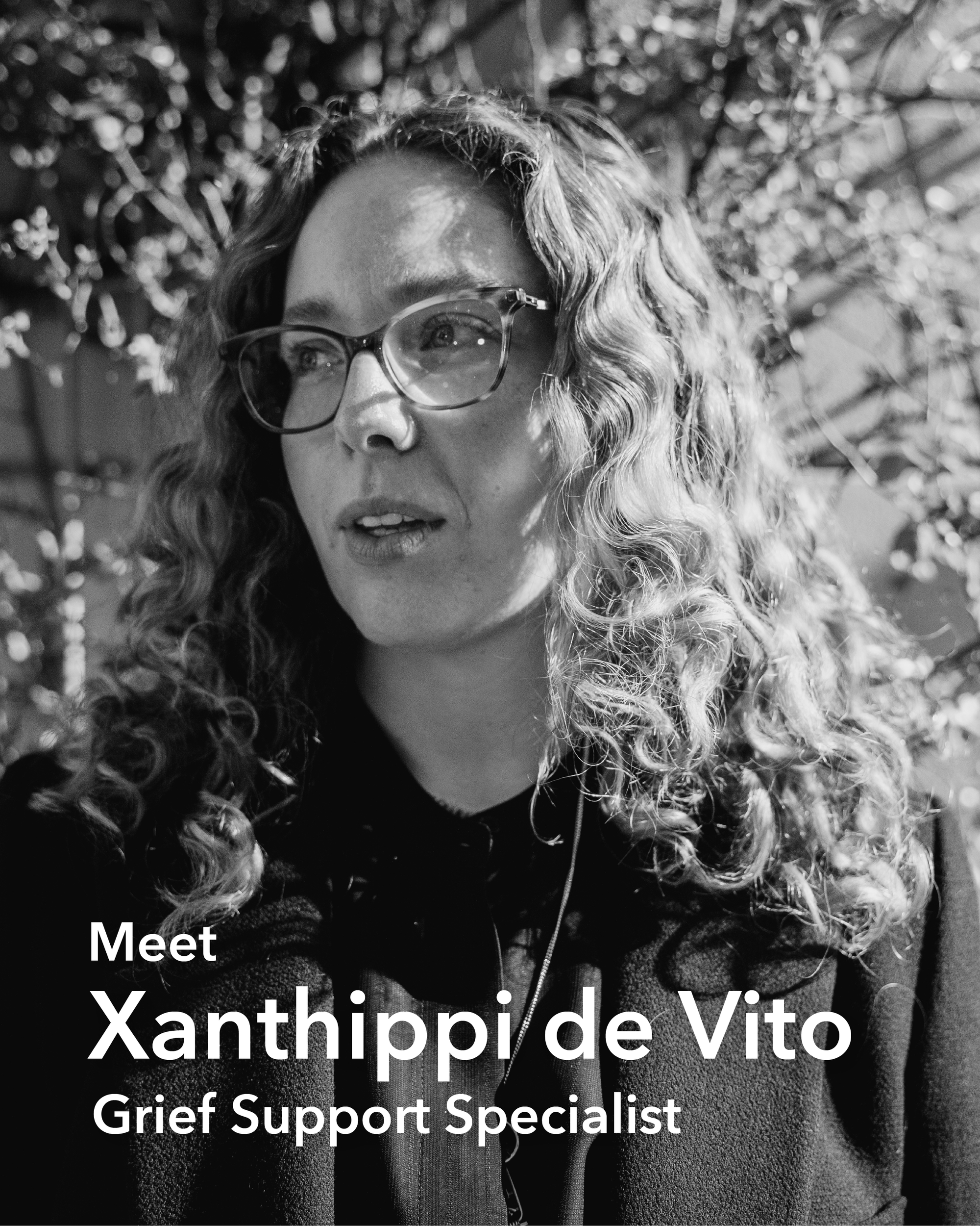 Xanthippi de Vito