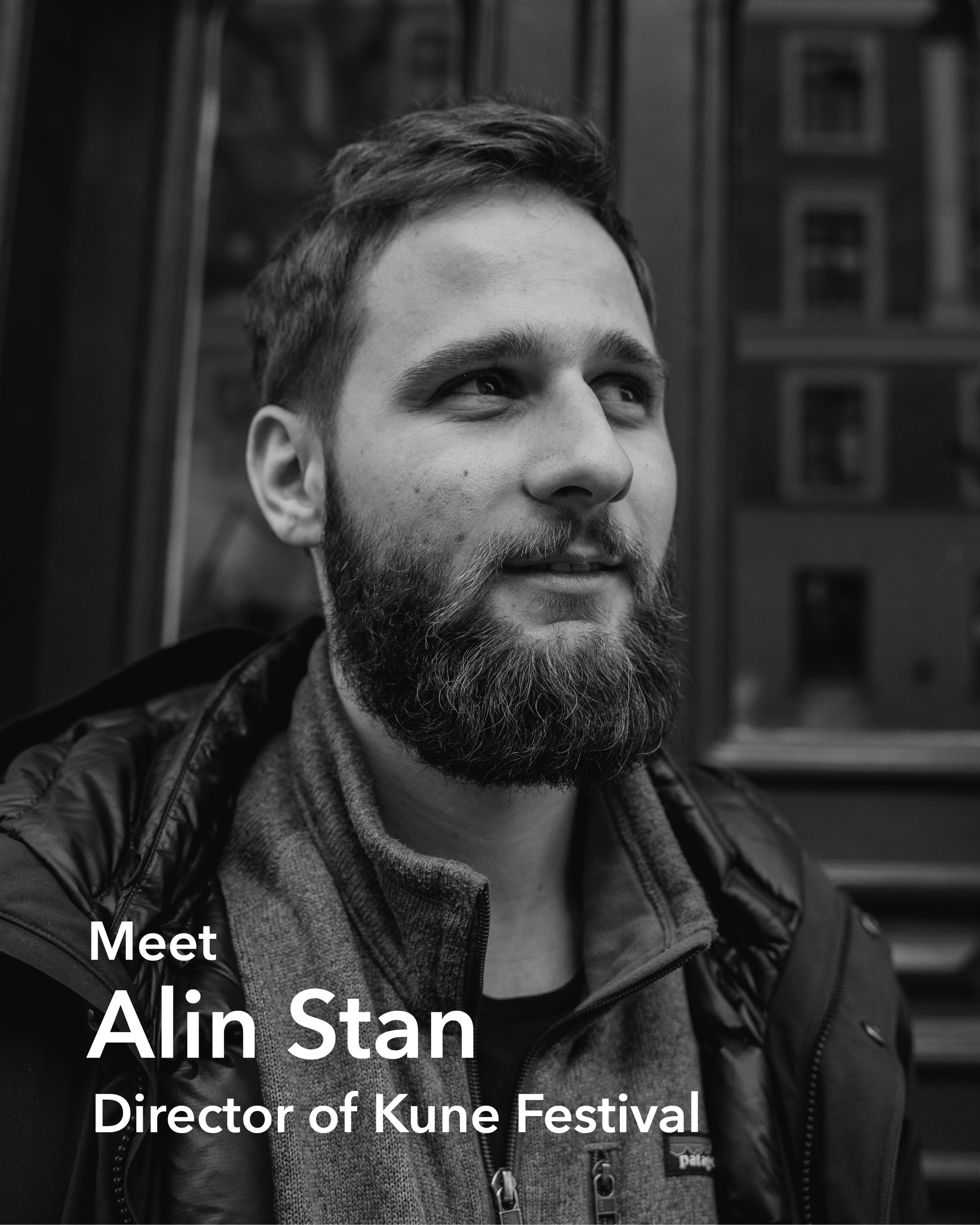Alin Stan